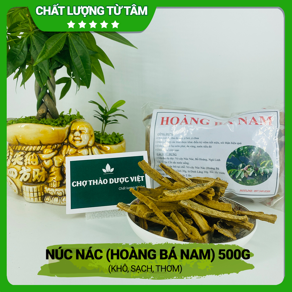 Vỏ cây núc nác khô 500g, hoàng bá nam, núc nác thái sợi, thơm, sạch - Chợ Thảo Dược Việt