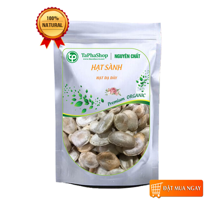 Hạt sành chữa đau dạ dày - tấn phát