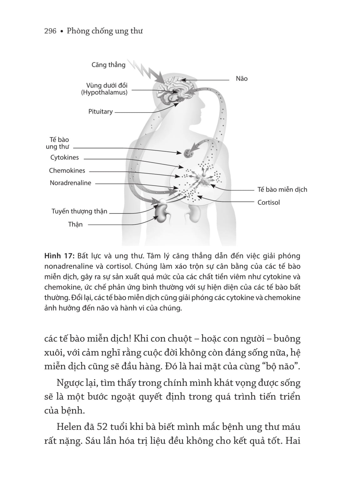 Y Học Sức Khỏe - Phòng Chống Ung Thư
