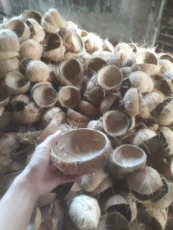 Gáo dừa 4 cái