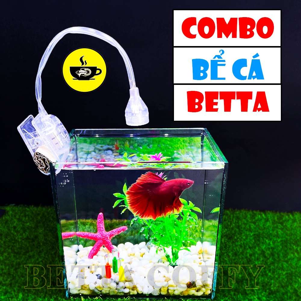Combo Hồ Cá Betta + Phụ Kiện Đèn Cây Sỏi Trang Trí Bể Cá Kính