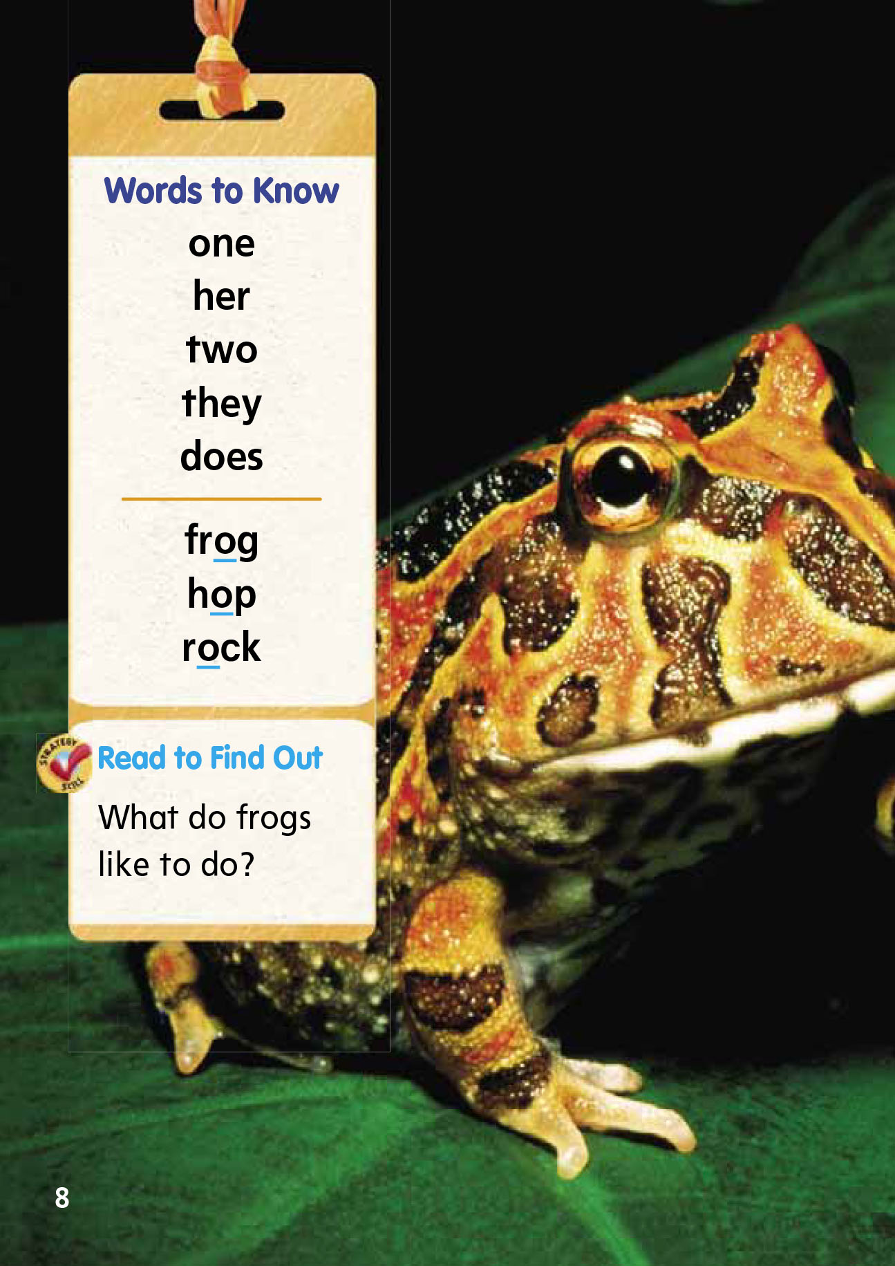 Sách Tiếng Anh TREASURE LANGUAGE ART GRADE 1 VOLUME 2 (Sách màu)