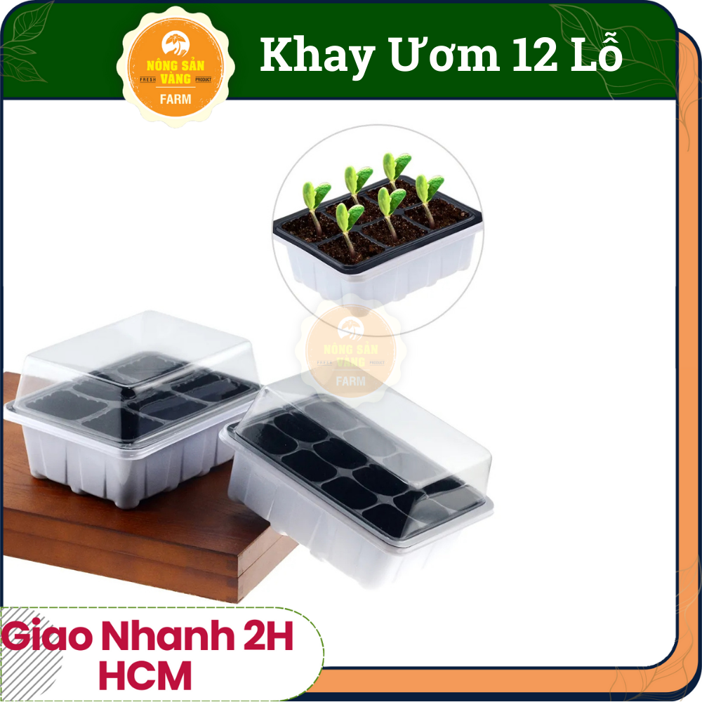 Plastic tray ươm sprout seeds 12 hole (nursery tray) with a lid, moisturizing, drainage convenient-shallow gold