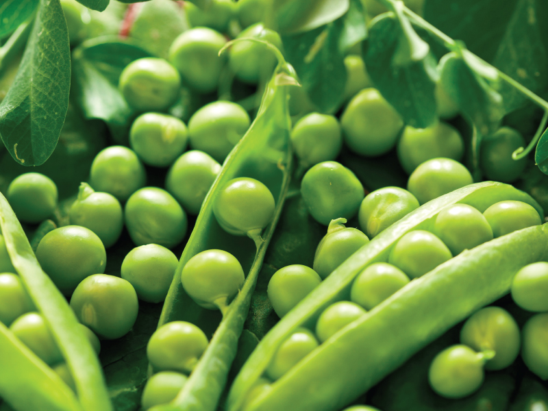 Đậu Hà Lan hữu cơ Khô Nhập Khẩu 500g
