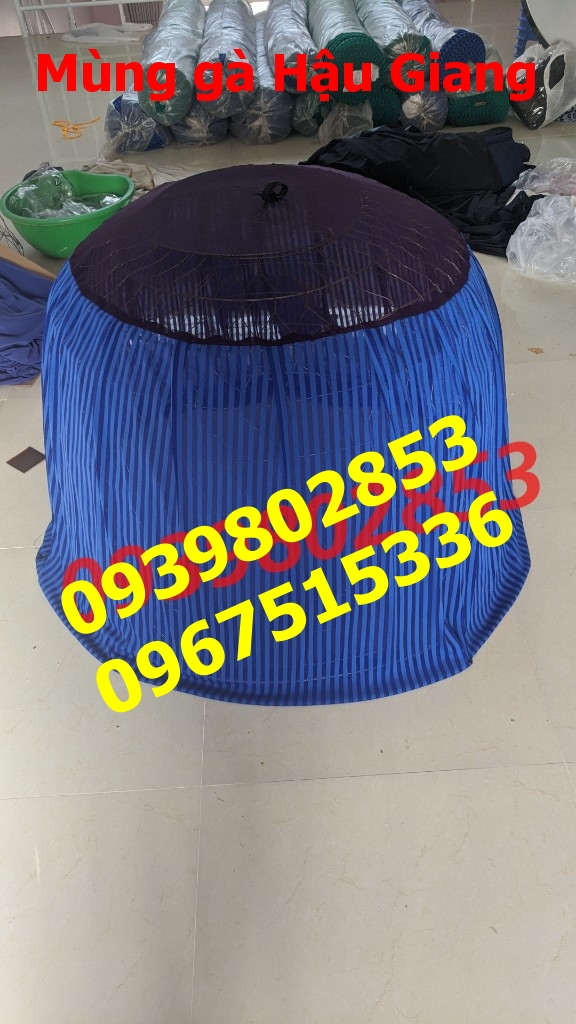 10 Mùng gà nòi MIEN PHI VAN CHUYEN