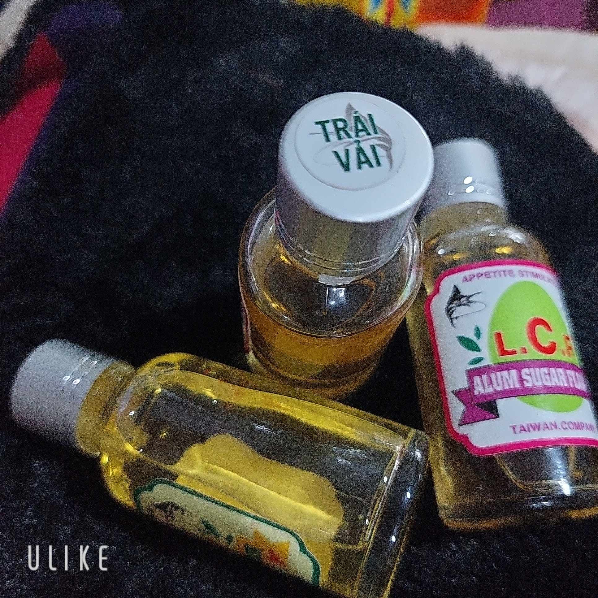[TINH MÙI] HƯƠNG CÂU CÁ L.C.F hương Vải