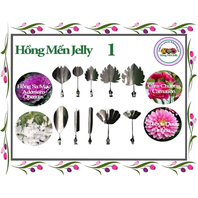Bộ kim làm thạch rau câu 3d hồng mến mẫu 1-5