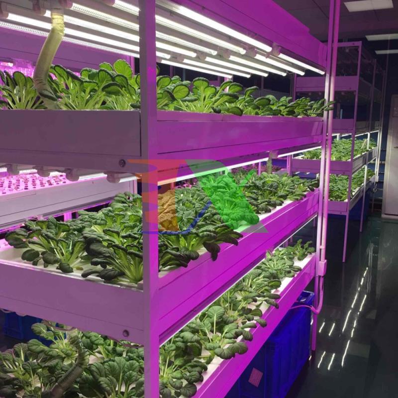 Led grow lights T8 1.2m