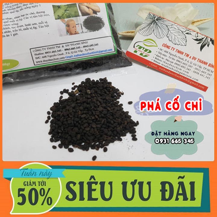 Phá Cố Chỉ Sấy Khô Loại Đặc Biệt 100g - Đông Y Thanh Bình