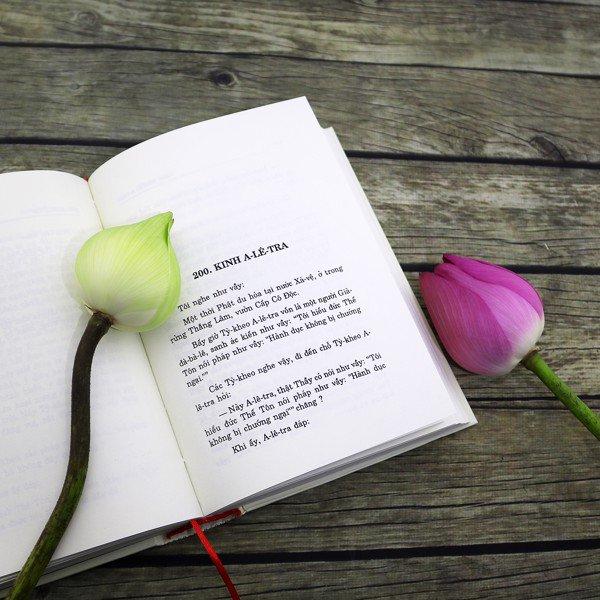 Đại Tạng kinh Việt Nam (Trọn bộ 37 Quyển) - Bộ mới