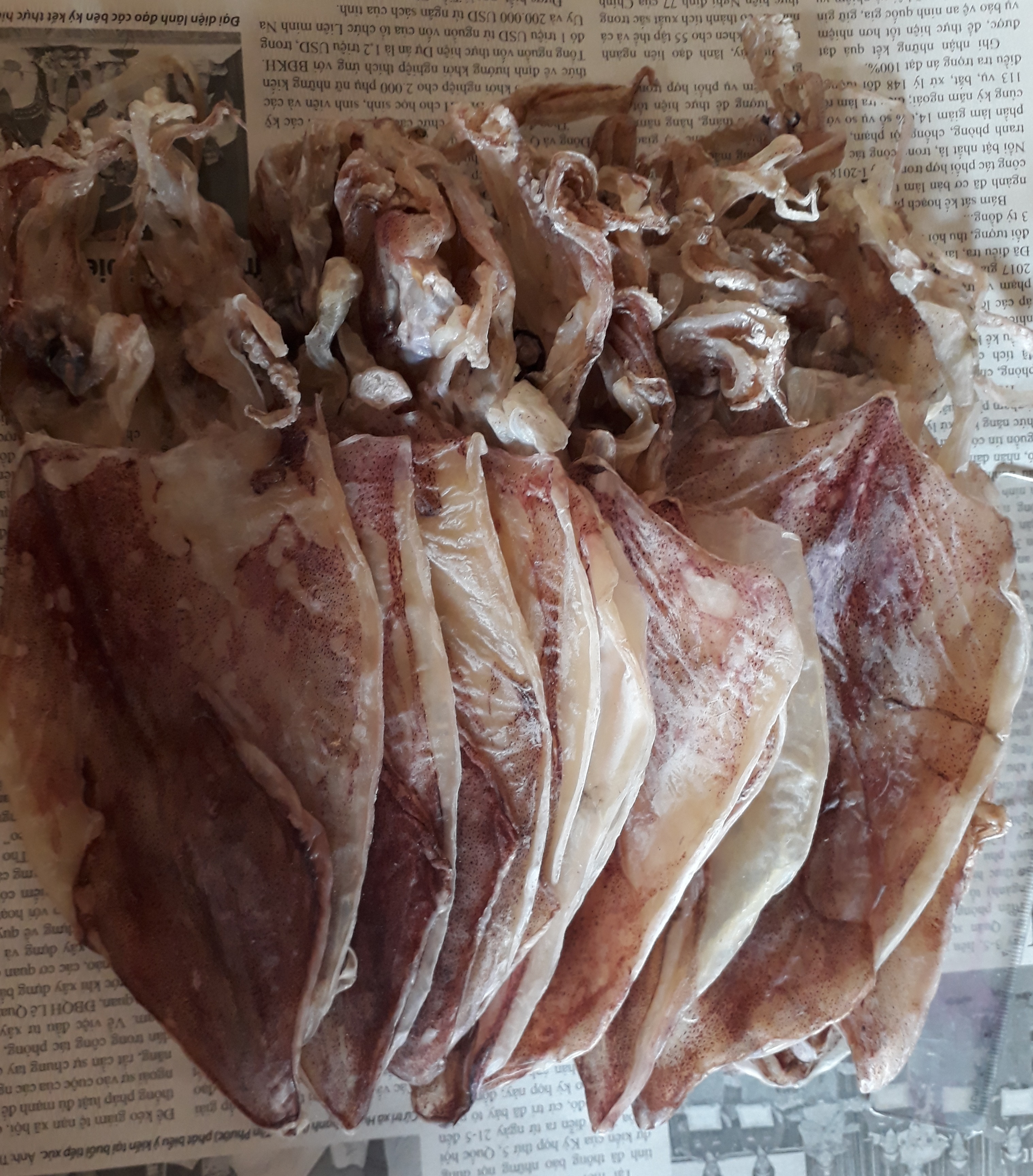 500g CON KHÔ MỰC GÒ CÔNG (SẢN PHẨM Y HÌNH, KHOẢNG 30-32CON)