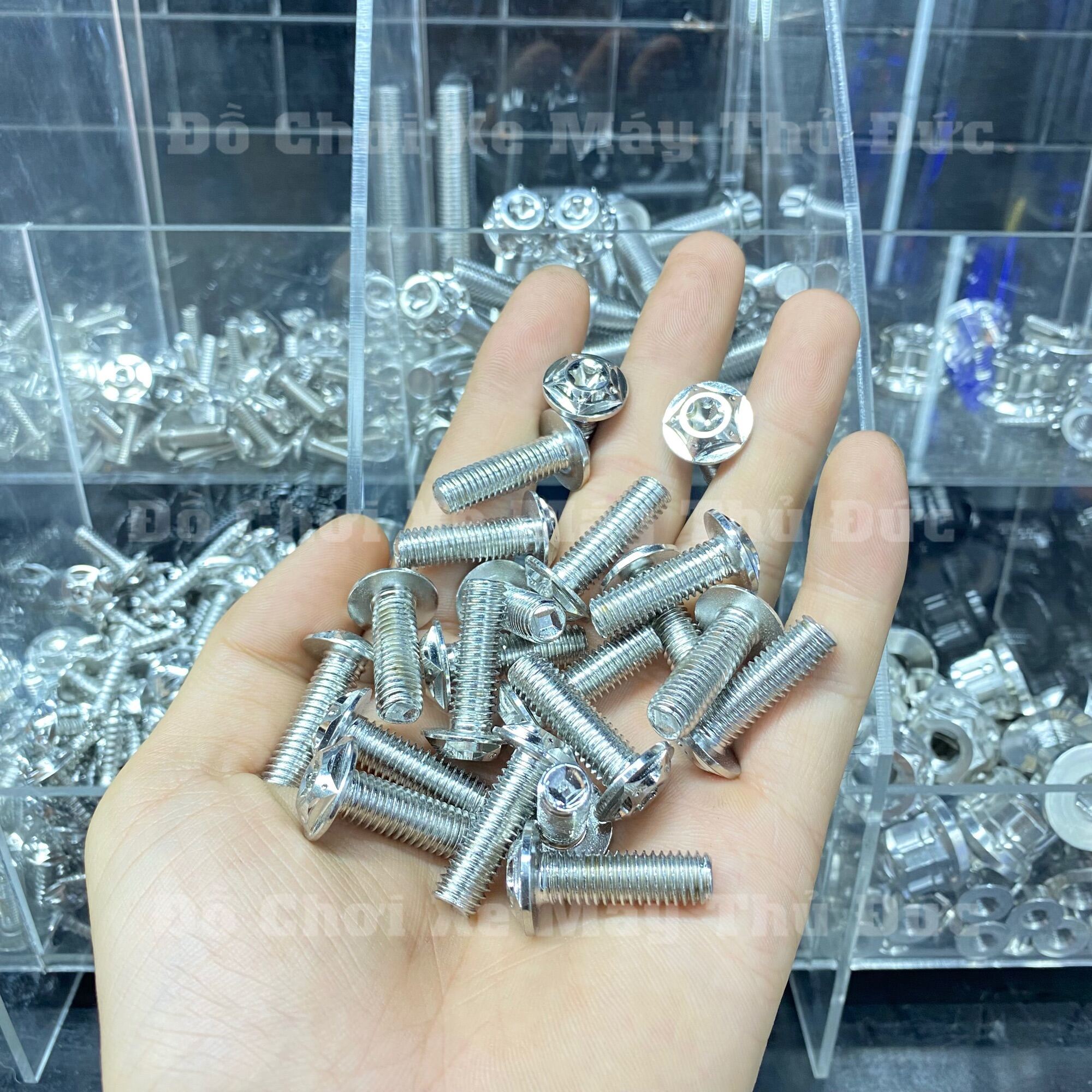 [HCM]Ốc Salaya 8li 25 Gắn Đĩa