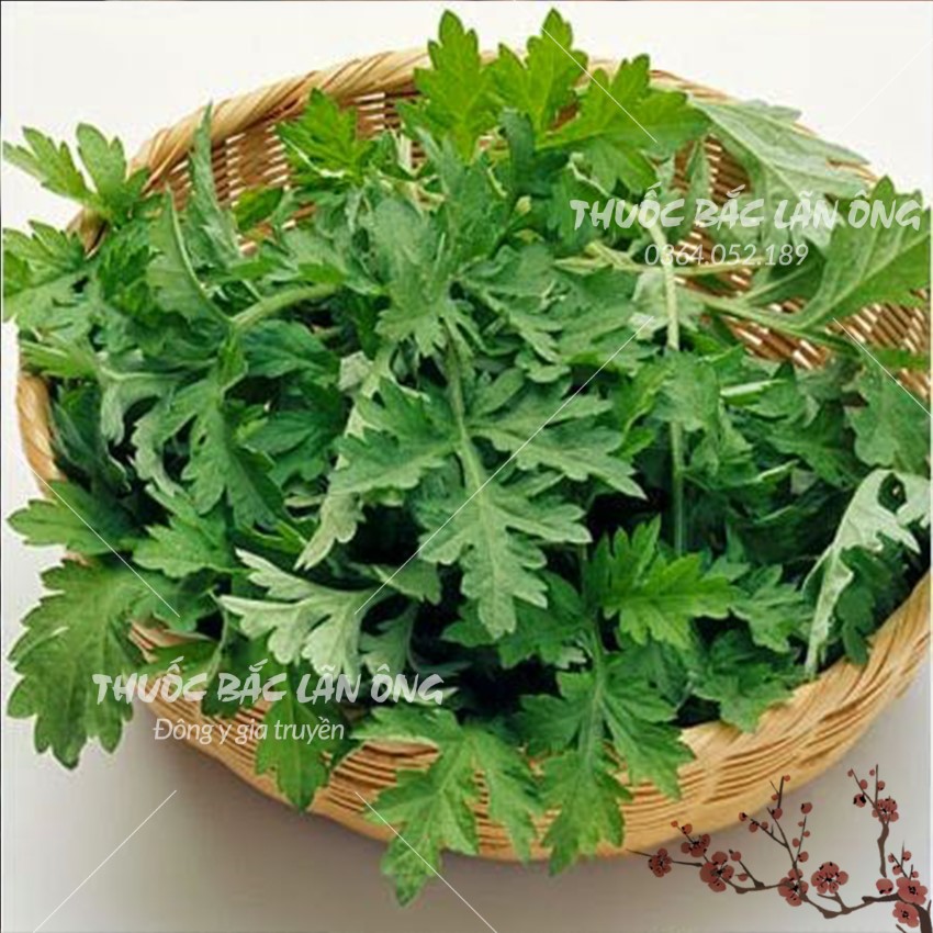 Ngải cứu khô 500g, sạch, thơm, không lẫn cành, dùng xông hơi, ngâm chân - Lãn Ông
