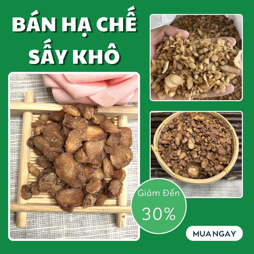 [New Products from the Company] Sale of Large Bags of 500g - Tan Phat - Clean Products of High Quality