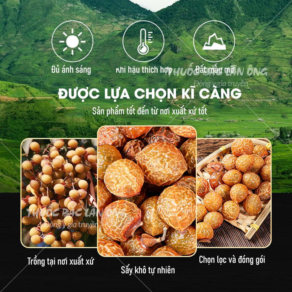 Qủa bồ hòn tách hạt 100g (Xà phòng, nước rửa chén hữu cơ) – Thuốc bắc lãn ông