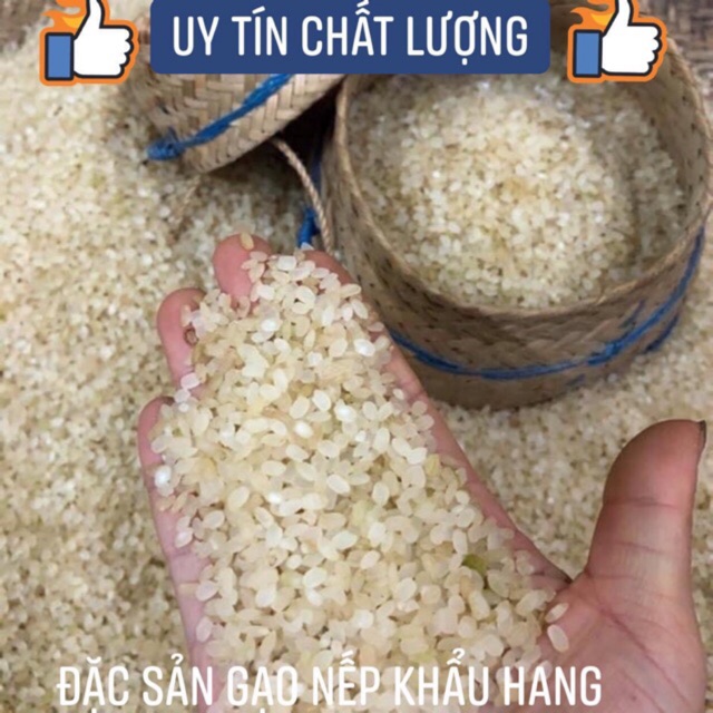 ĐẶC SẢN TÂY BẮC: GẠO KHẨU HANG (gạo đặc sản làm từ lúa nếp non tú lệ yên bái)