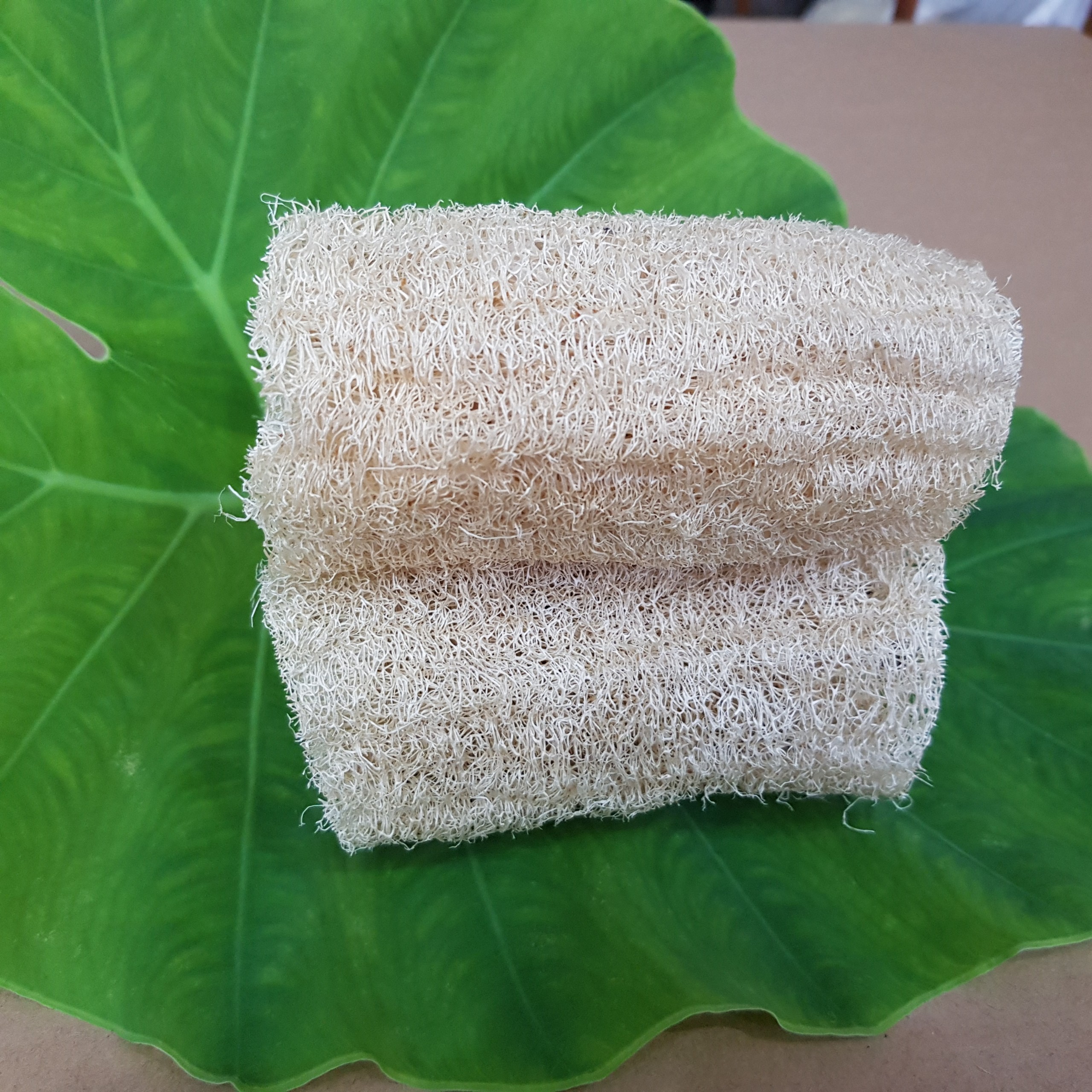 Combo 3 xơ mướp cắt khúc ( 10-11cm ) dùng rửa chén, rửa bát