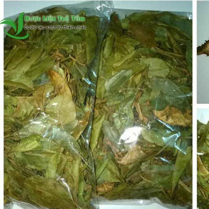 [HCM]1kg lá mảng cầu xiêm - CAO CẤP