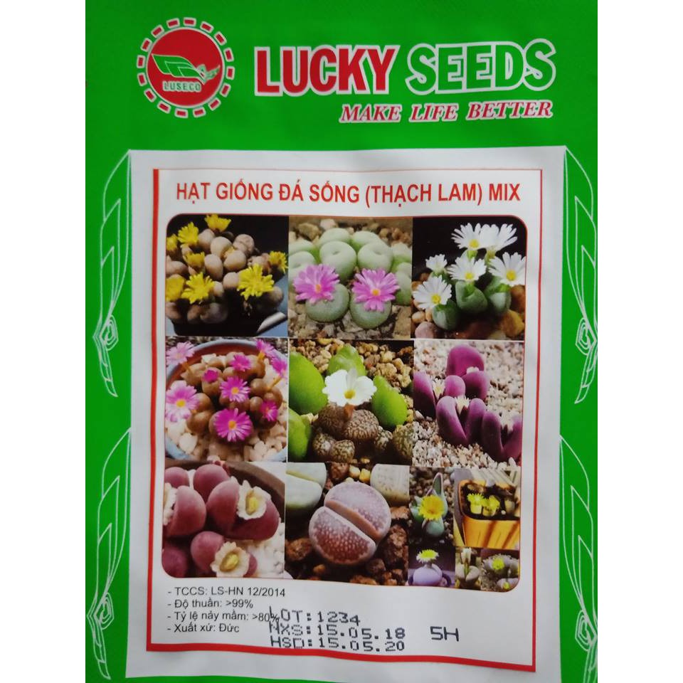 Hạt giống cây đá sống Thạch Lam - 5 hạt
