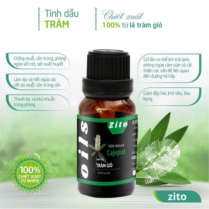 [HCM]Tinh Dầu Tràm Gió Zito 10ml