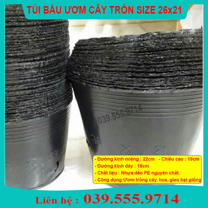 500gram TÚI BẦU NHỰA MỀM ƯƠM CÂY SZE 26X21 - CHẬU ĐẸP BỀN TÁI SỬ DỤNG NHIỀU LẦN