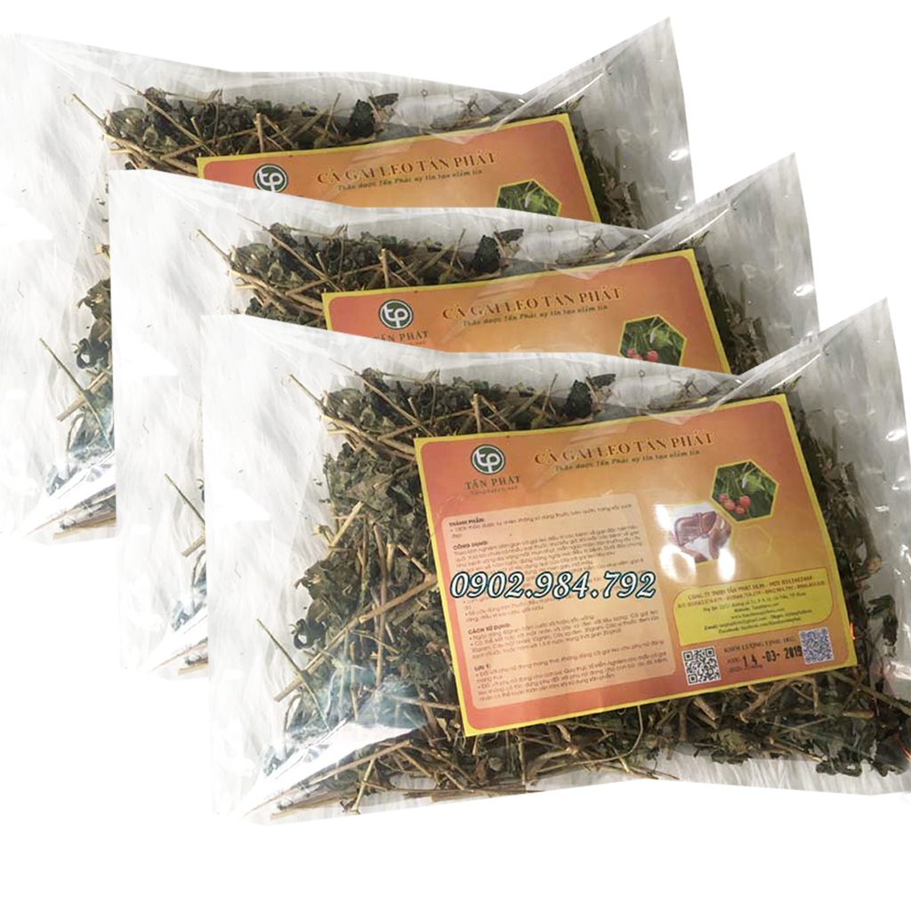 Combo cà gai leo 3kg Tấn Phát
