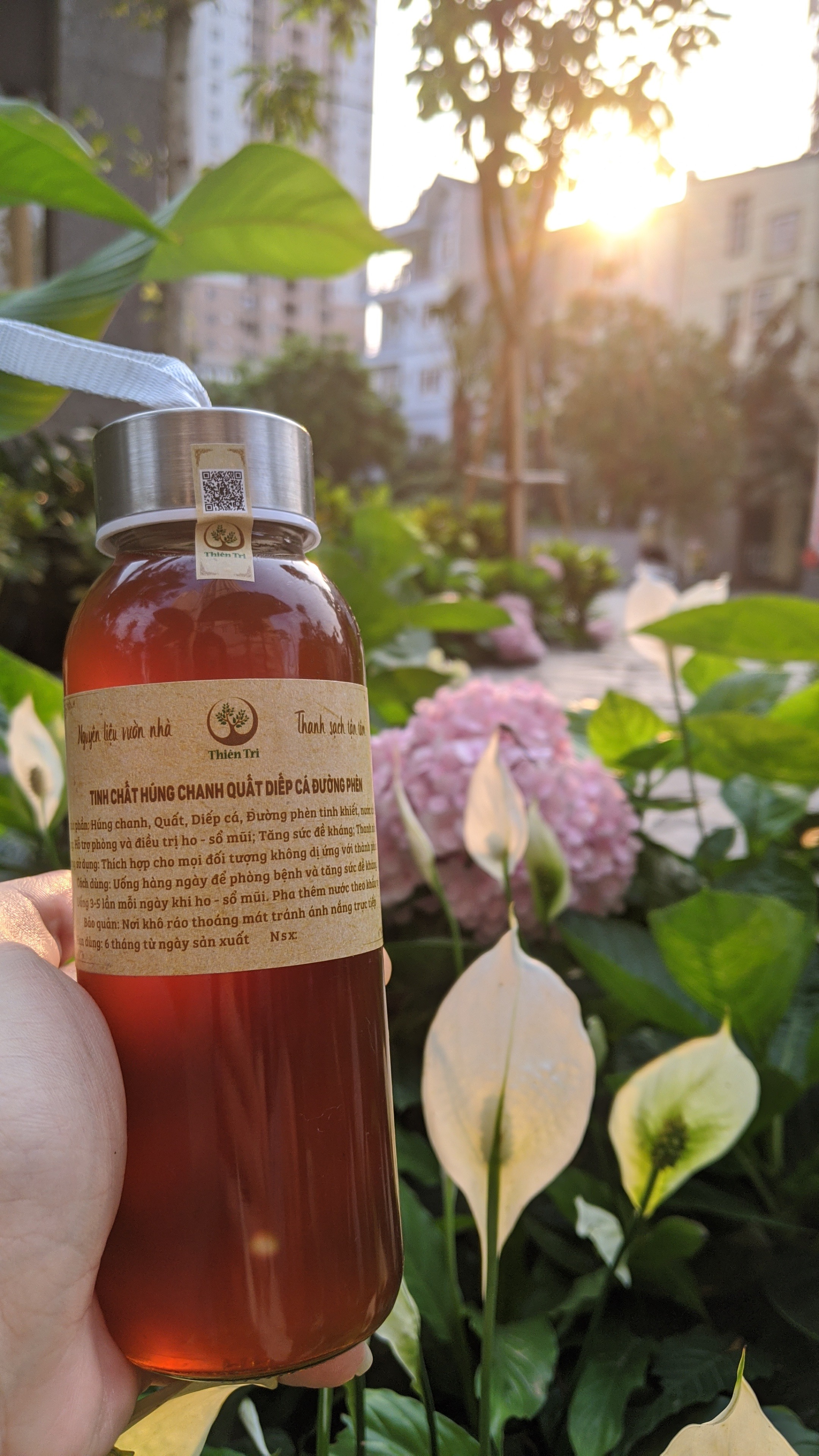 [HOT SALE] Siro ho Húng chanh Thiên Tri 300ml [ Đã đăng ký công bố và kiểm định bởi bộ y tế]