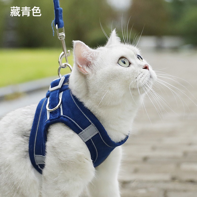 Dây yếm dắt mèo chó thú cưng đi dạo