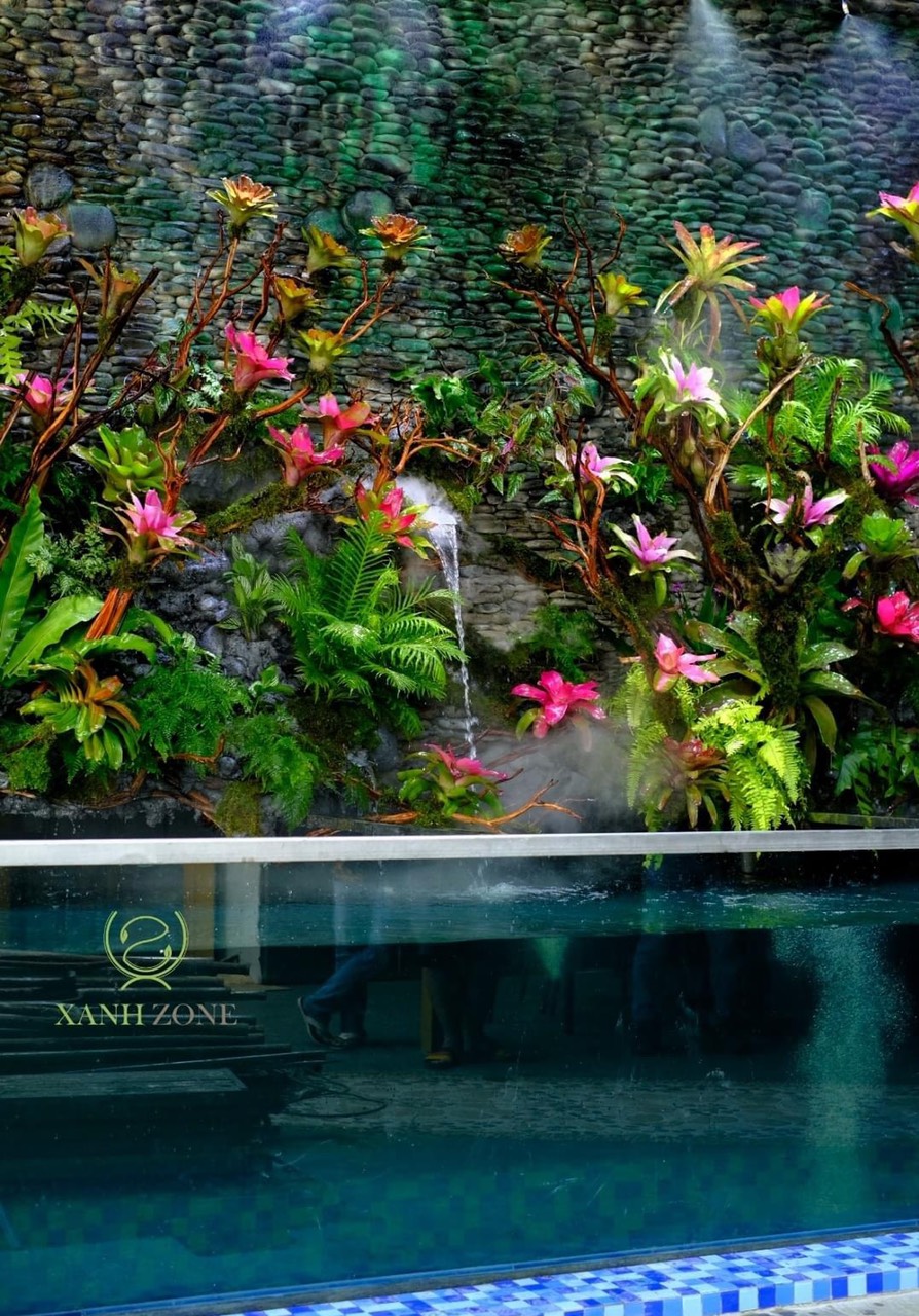 dứa màu nam mỹ, dứa màu gắn lũa bán cạn, landcape
