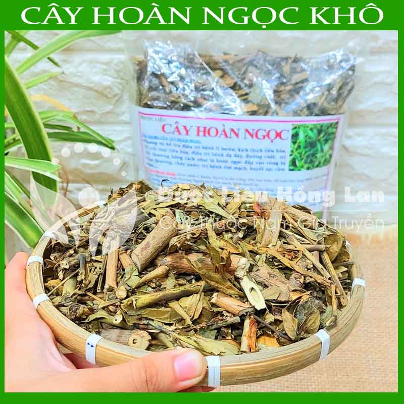 Dược liệu cây hoàn ngọc khô sạch đóng gói 500gram