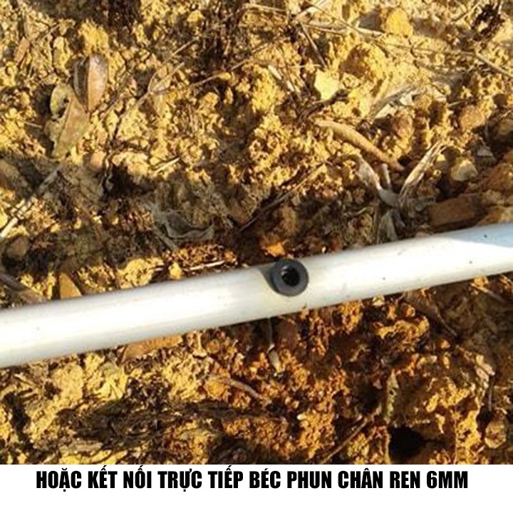 Bịch 50 ron cao su khởi thủy 6mm