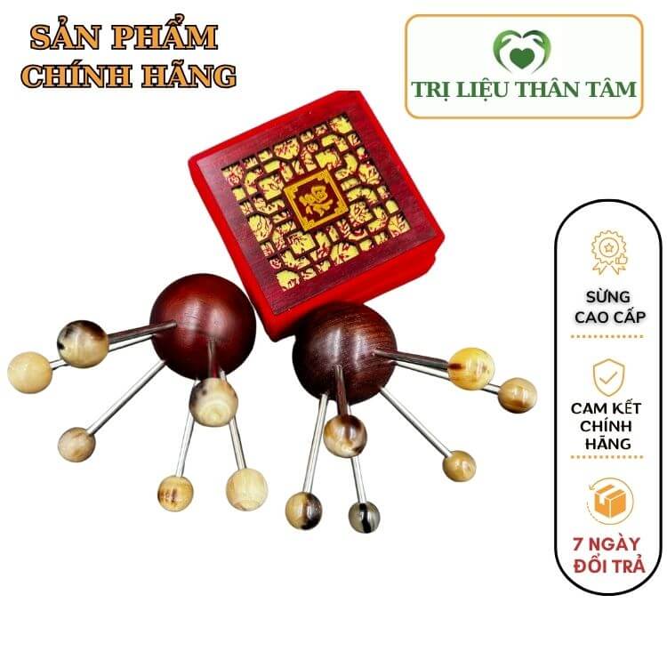 Con Nhện Sừng Đa Năng Lớn - Diện Chẩn Bùi Quốc Châu