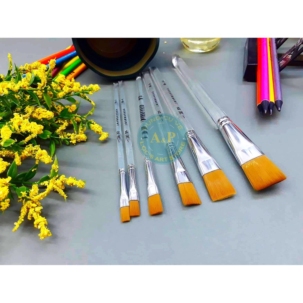 Bộ Cọ Cán Trong - 586 (6 cây)