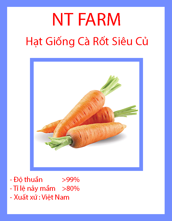 Hạt Giống Củ Cà Rốt Siêu To F1