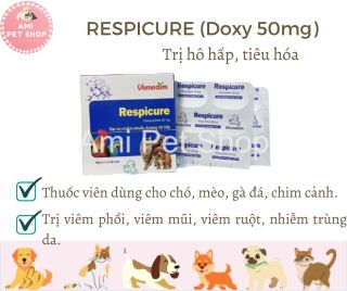 Thuốc viên Respicure Vemedim Doxy 50mg phòng hô hấp cho gà đá, chim cảnh, chó mèo, hộp 10 viên thumbnail