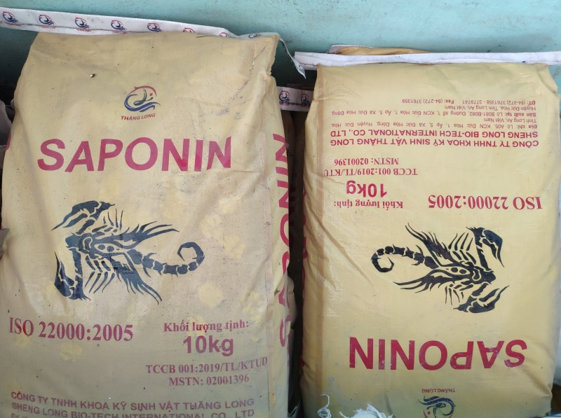 1kg Saponin diệt tạp chuyên dùng để diệt sinh vật gây hại khi xử lý hồ mới để thả cá Koi