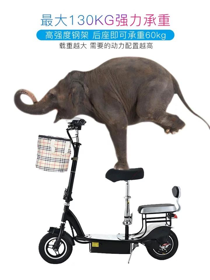 Xe đạp điện escooter hai chỗ ngồi