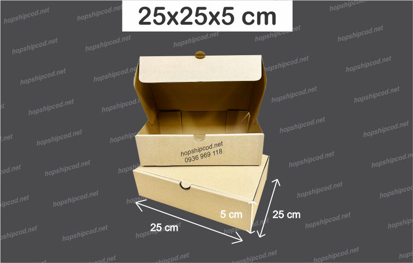 [Combo 100 cái] 25x25x5 cm Hộp đựng pizza