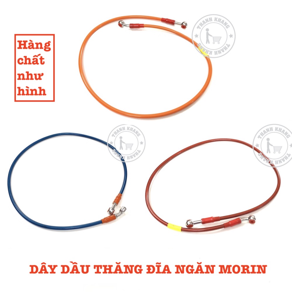 [HCM]dây dầu thắng đĩa morin thanh khang