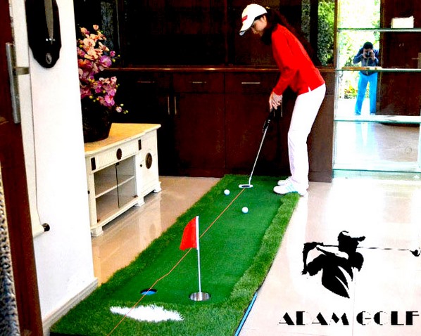 Golf Putter Plane Laser Sight  - Golf Training Aid, Fix Your Putt in Seconds