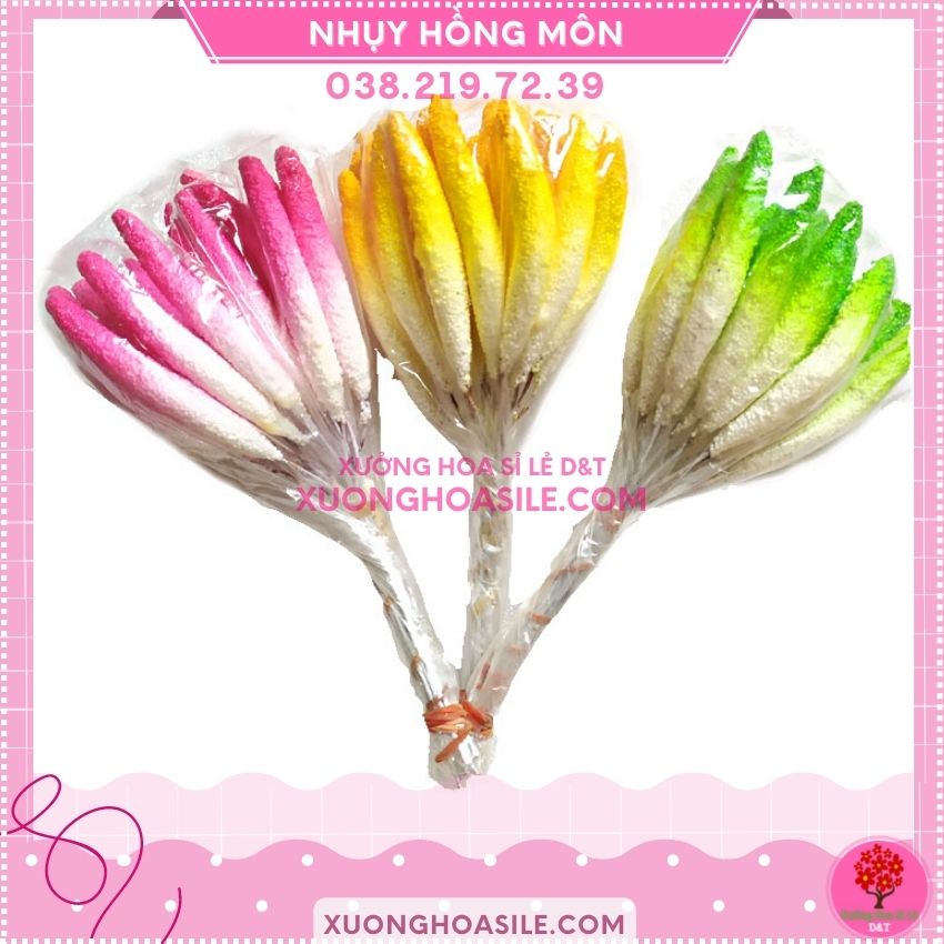 [HCM]NHỊ HỒNG MÔN LÀM HOA