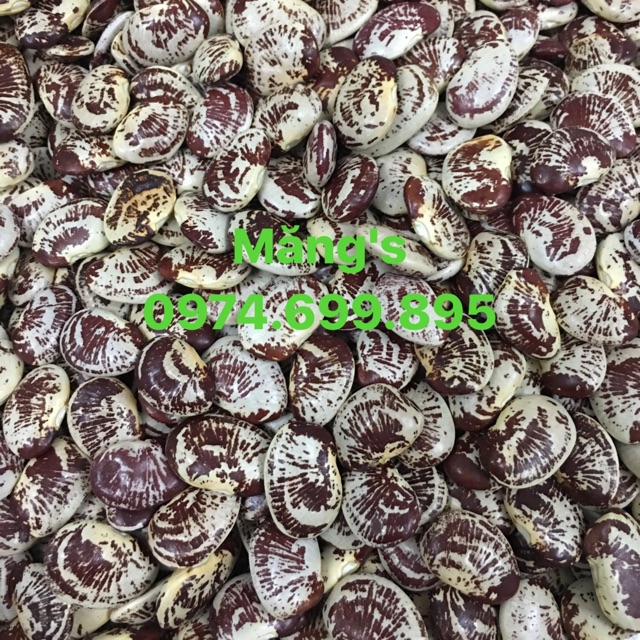 Đậu ngự loại ngon đặc biệt (1kg hút chân không)