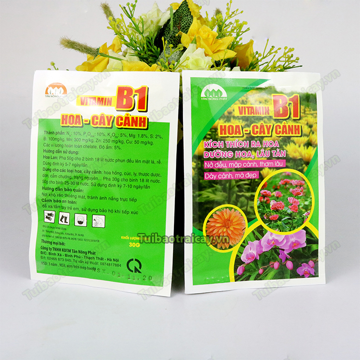 Phân bón Vitamin B1 kích thích ra hoa - T179