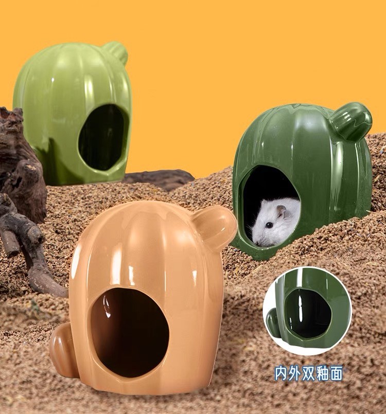 Nhà sứ xương rồng dành cho hamster - T3 PETS SHOP