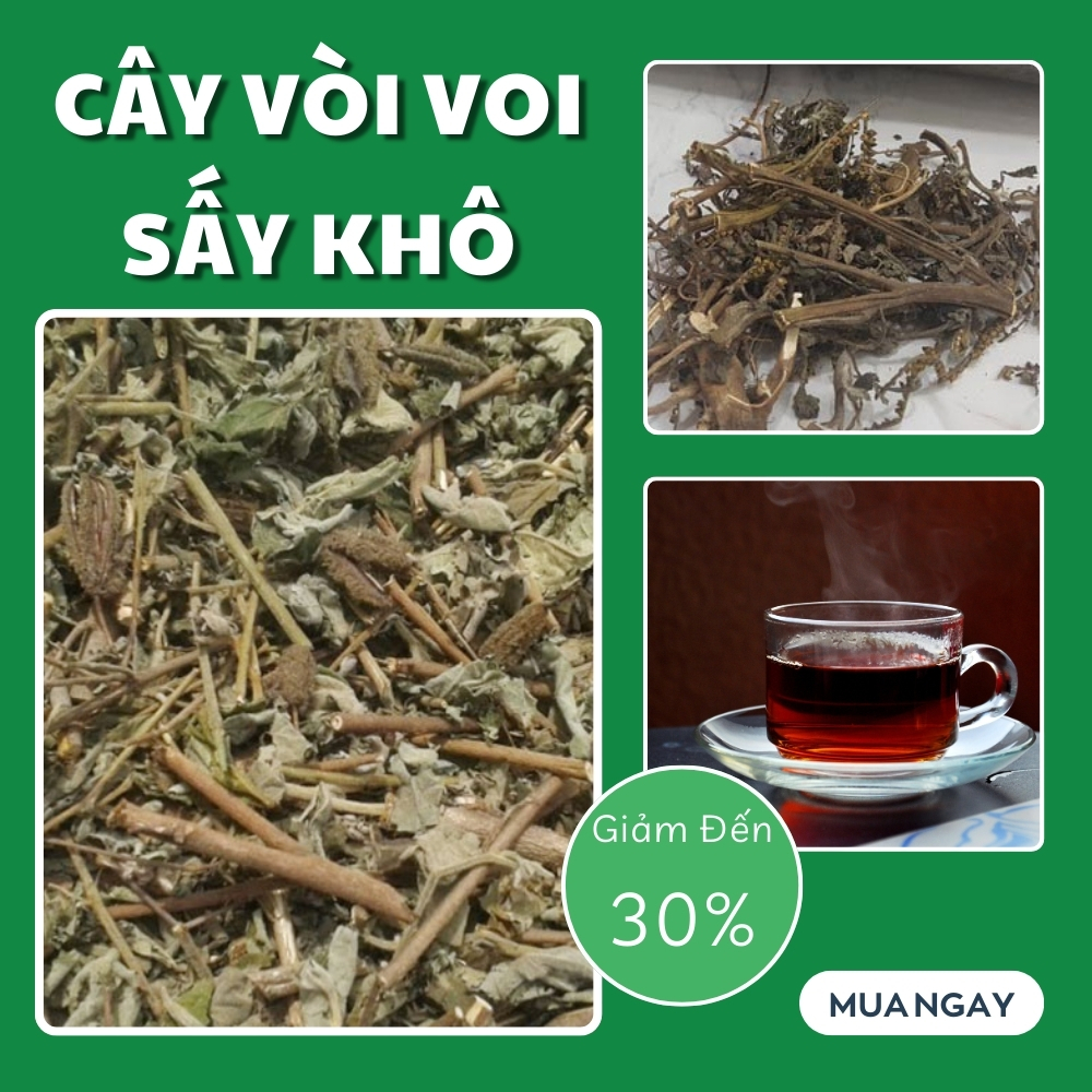 [Hàng mới về] Cây vòi voi khô túi nhỏ 100g - Tấn Phát - Hỗ trợ cải thiện sức khoẻ - Hàng loại 1 - Chuyên dùng để pha trà