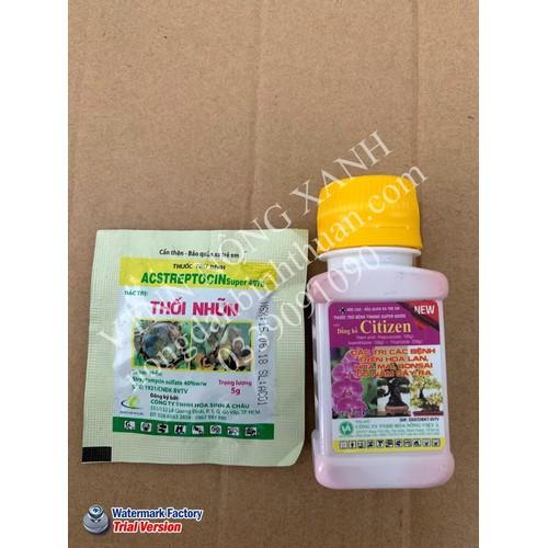 Combo trừ thối nhũn và đóm lá hoa lan