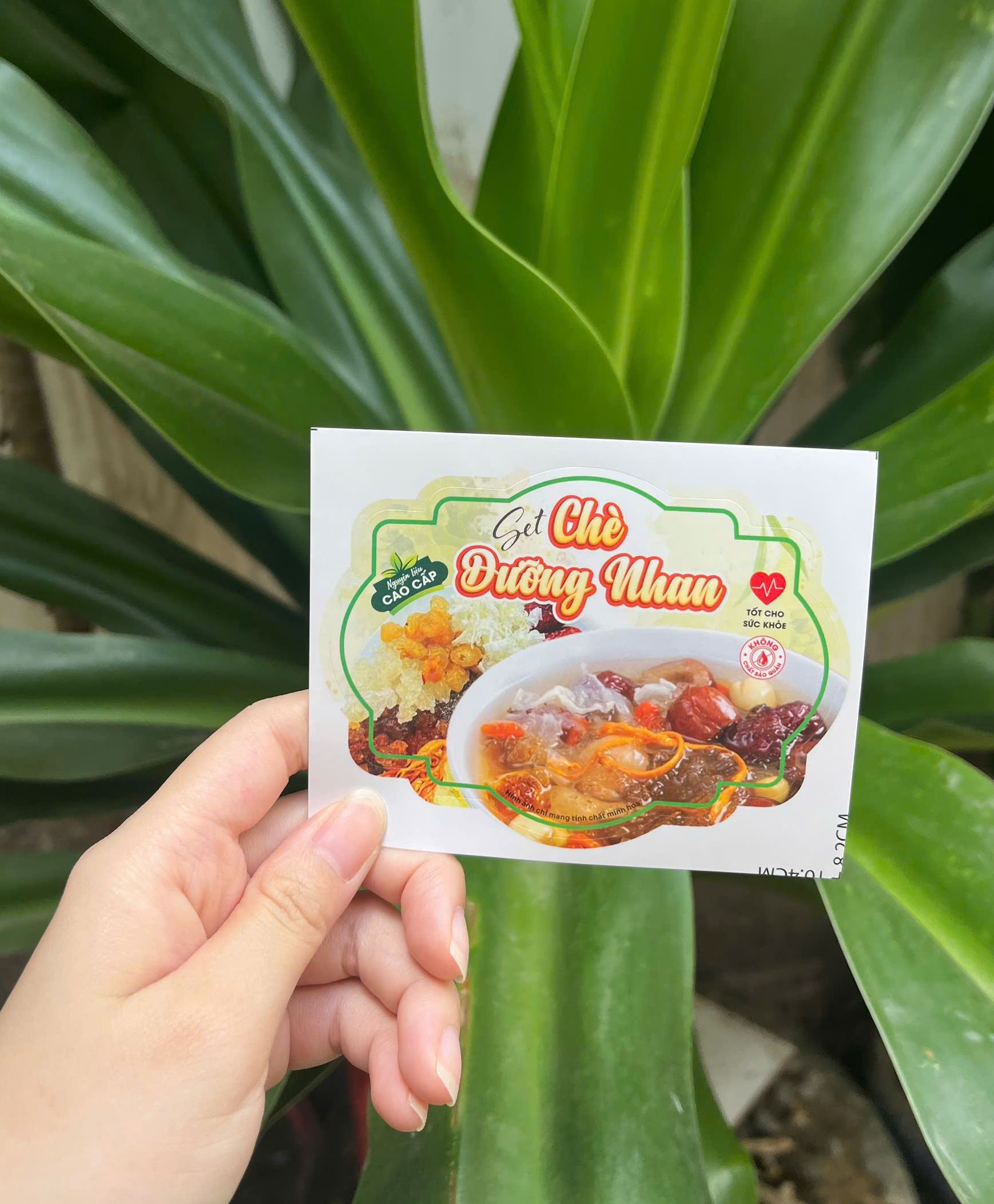 50 Tem dán Set Chè Dưỡng Nhan - 7*9.6cm