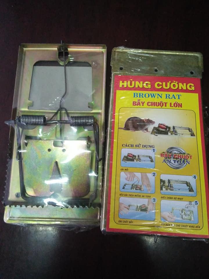 2 Cái Bẫy Sập Chuột Size Lớn 20x10 Hàng Thép Dày Chắc Chắn