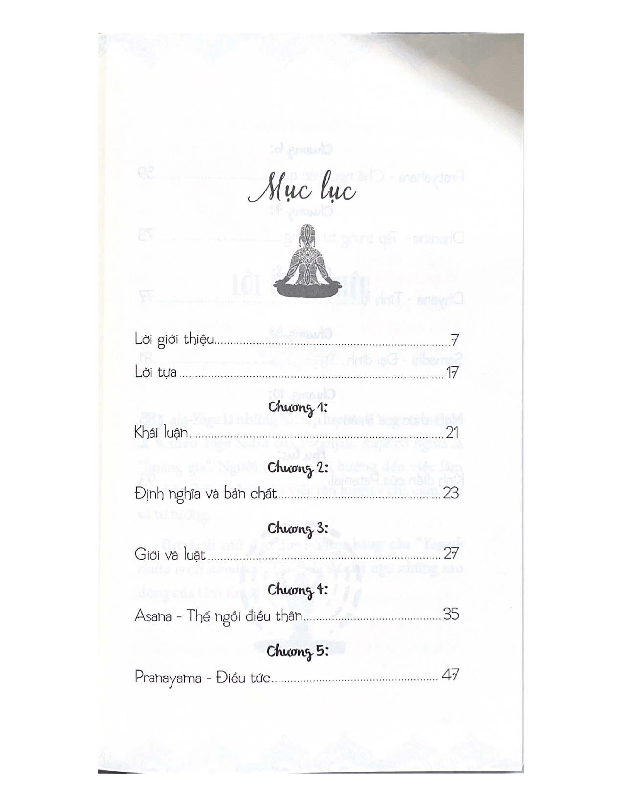 Sách - Yoga & Thiền Định (Tái Bản)-Vanlangbooks