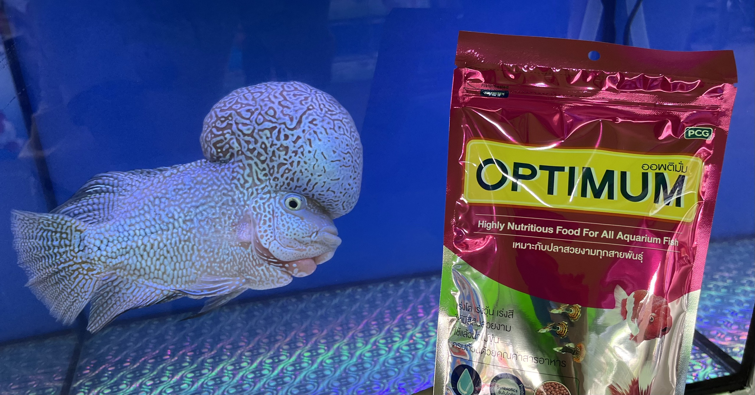 Thức ăn cho cá cảnh- OPTIMUM (Made inThailand) - (gói 20g-100g-200g)-cho cá vàng,cá cảnh, cá kiếm, ông tiên, Betta